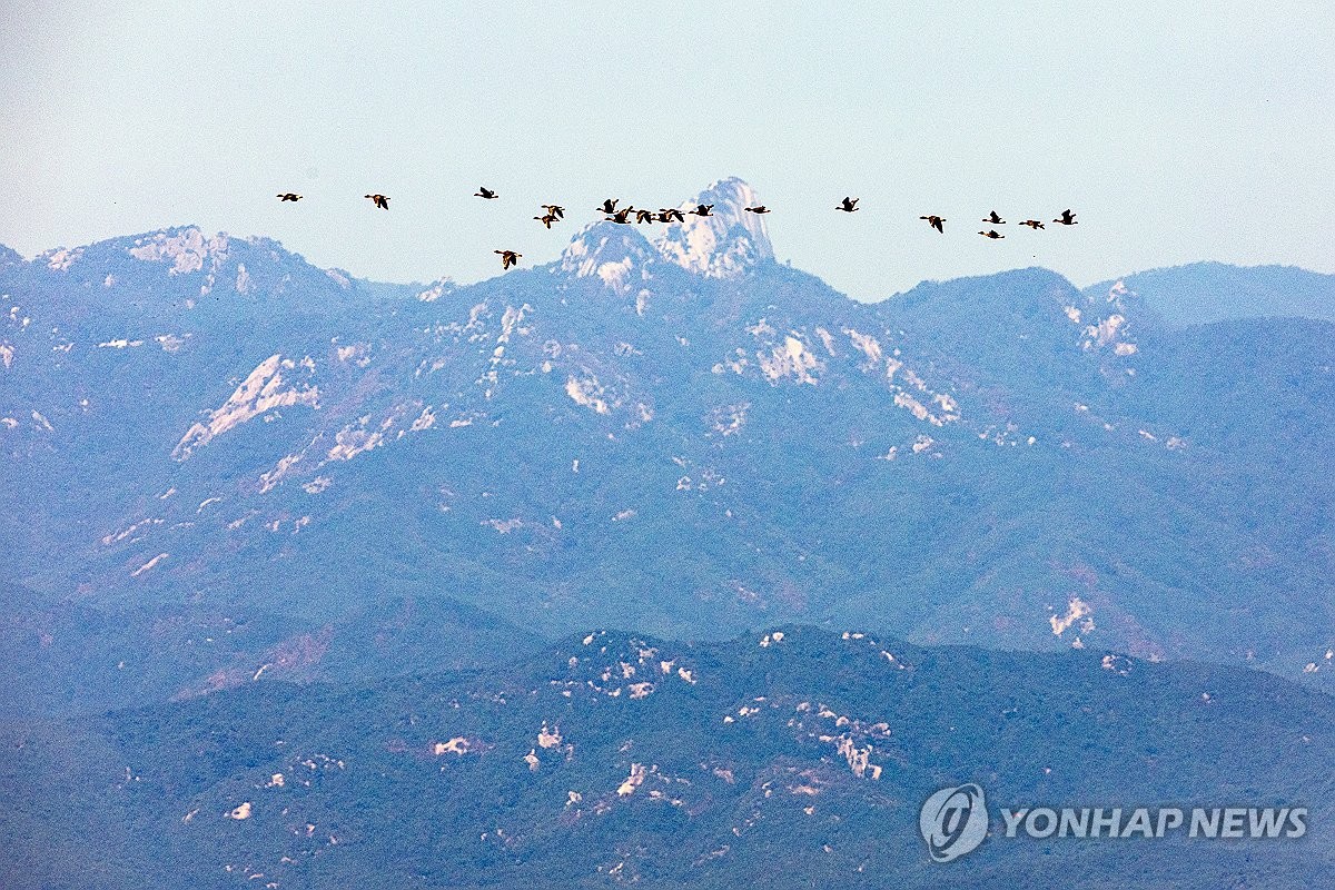 「韓은 남쪽철책부터」유엔사 거부로 정부 DMZ조사 2년5개월째 중단