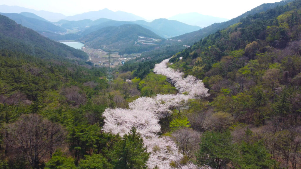 경남 고성군, 관광객 유치를 위한 인플루언서 초청 홍보 여행 시작