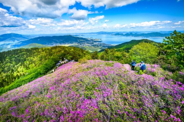 2023년 보물섬 망운산 철쭉제 및 등반대회 개최
