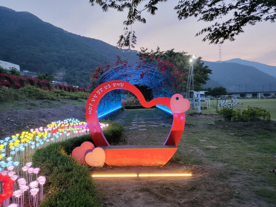 밤에 피는 장미, 상동 체육공원 LED장미 및 경관조명 설치