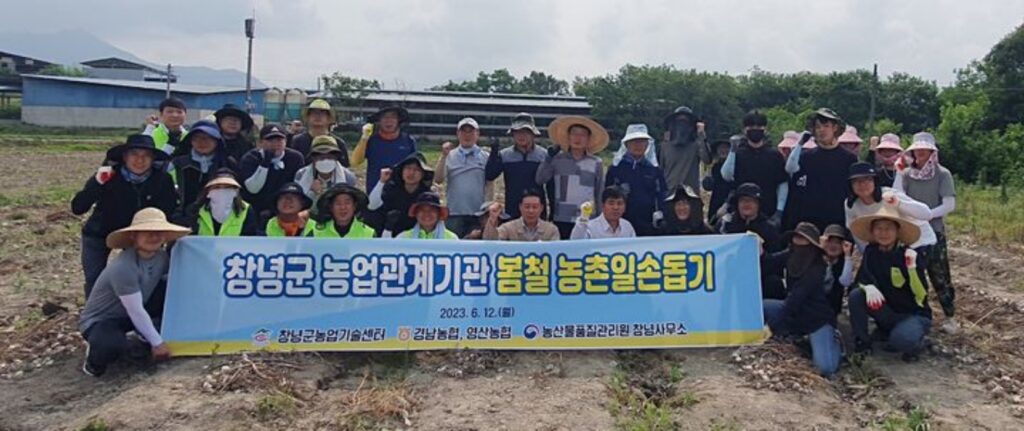 경남 창녕군, 농촌 일손 돕기 구슬땀…농업 관계기관 동참