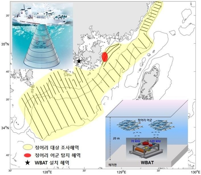 경남 「남해 해역 정어리떼, 밤이면 바닷가로 몰려온다」…아랫물엔 멸치떼가..