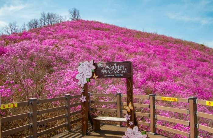 경남 밀양시 작은성장동력사업, 새로운 관광자원으로 부상
