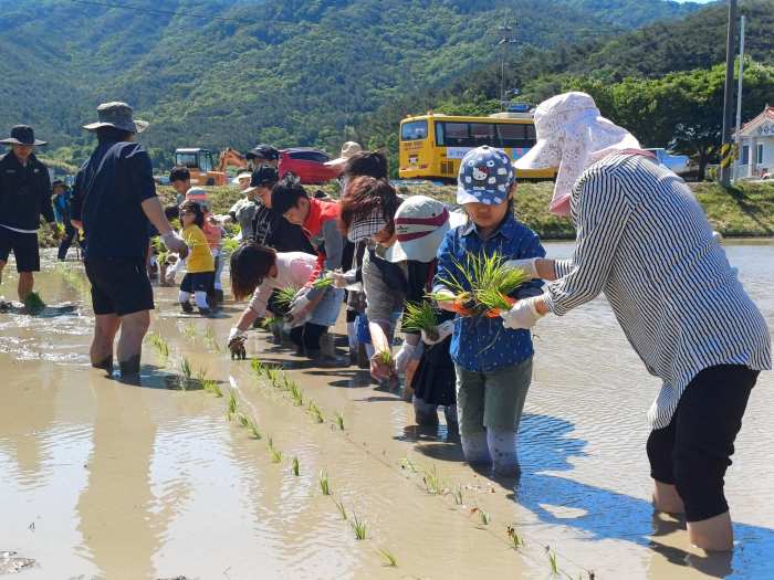 경남 남해군 이동면 주민자치회, 이동초등학교와 모내기 체험