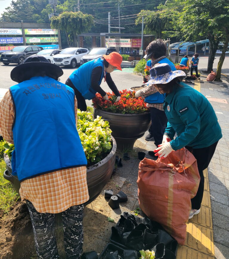 경남 밀양시 교동, 「밀양아리랑대축제는 베고니아 향기와 함께」