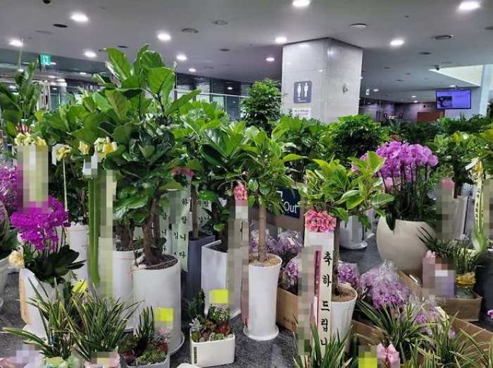 식물원 아닙니다…축하 화분으로 가득 찬 국회