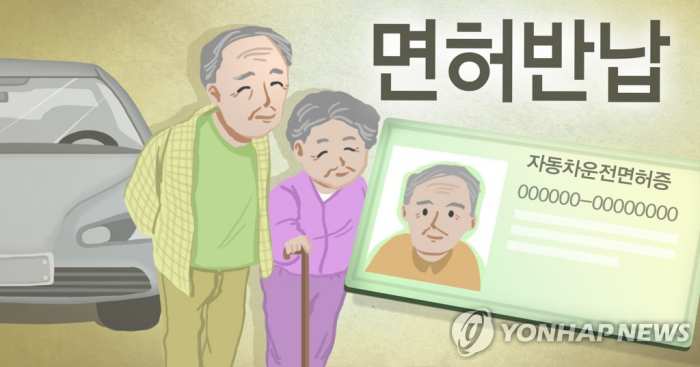 『면허 반납하면 현금』…지자체, 고령운전자 잇단 사고에 골몰
