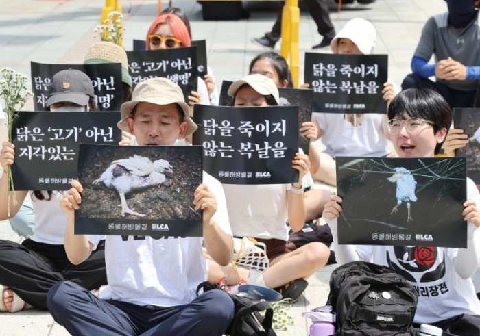 개고기 이어 「삼계」 금지 운동?… 초복 달구는 「닭고기 식용」 논쟁