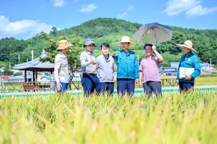 경남 남해군, 「벼 수확 전 벼멸구 방제 및 점검」에 총력