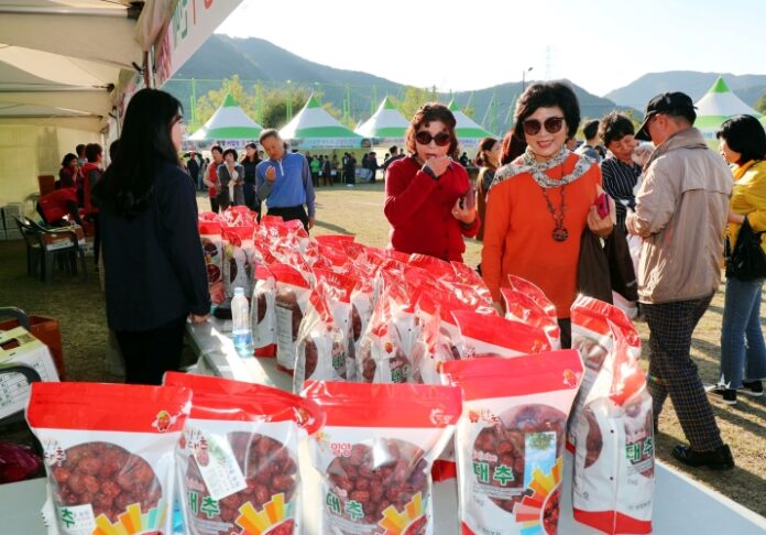경남 밀양시 제13회『밀양대추축제』개최