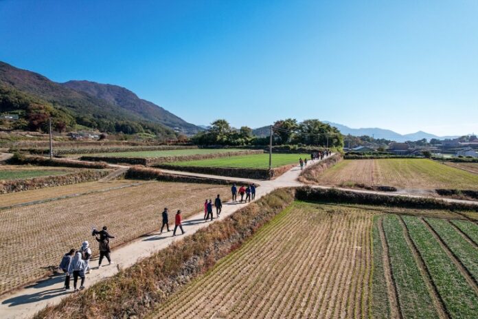 특별테마 마을바래길 첫 신호탄을 쏘다!