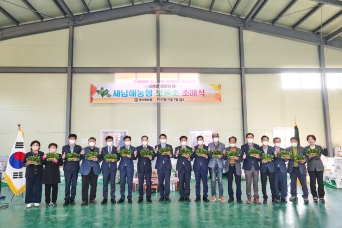 해풍 머금은 남해군 시금치「보물초」본격 출하