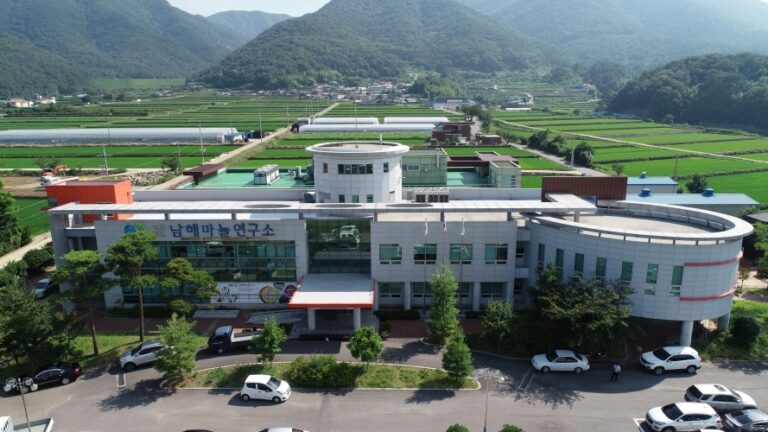 「기능성 표시 김치」에 남해산 마늘 사용한다.
