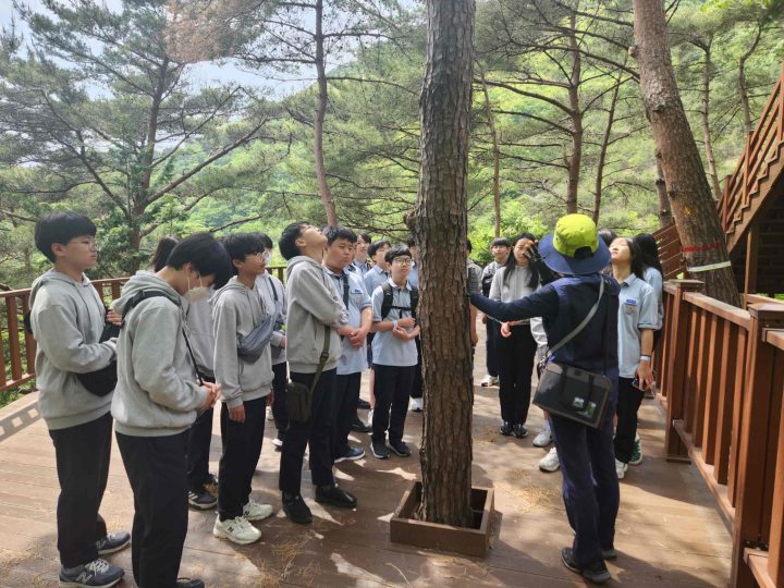 경남 밀양시, 도래재 자연휴양림 산림교육 프로그램 운영