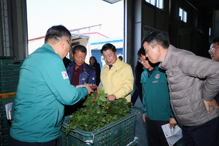 ［동정］이상근 고성군수, 겨울철 효자품목「시금치」경매 현장 방문