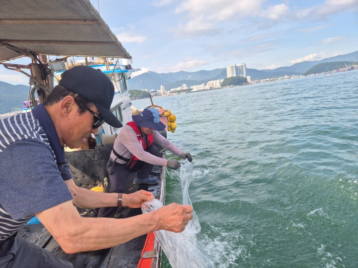 경남 사천 앞바다,「어린 참문어 100만마리 방류」추진