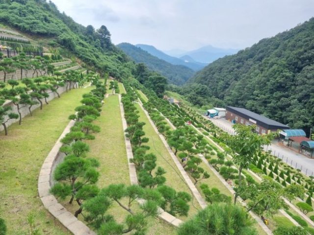 경남 사천시누리원 유족들,「수목장 시설」마련해 달라 호소…』