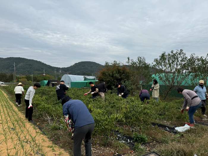 경남 「고성군청 재무과·행정과·건축개발과·대가면」, 합동 농촌일손돕기 실시 !