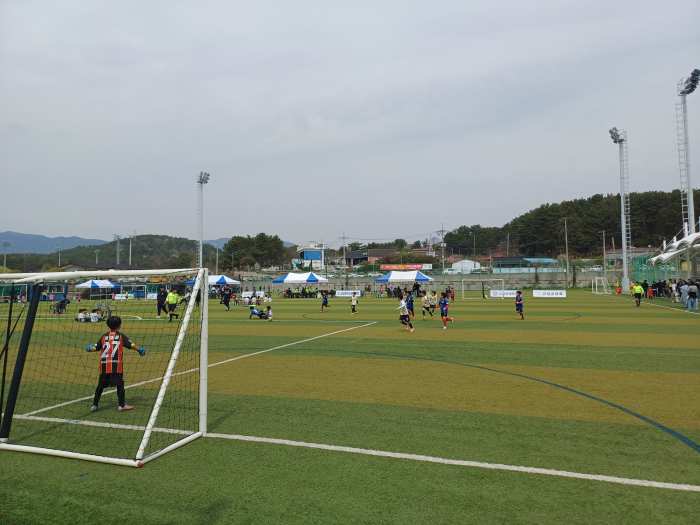 경남 고성군, 봄바람 타고 체육열기 싹을 튀우다!