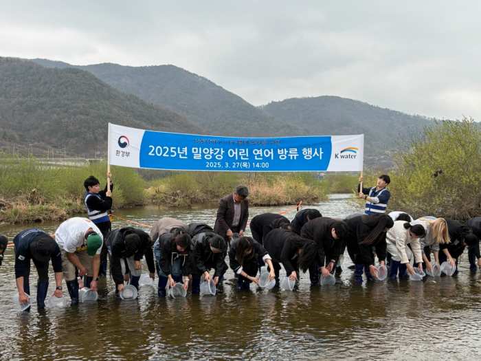 경남 밀양강에 어린 연어 30만 마리 방류