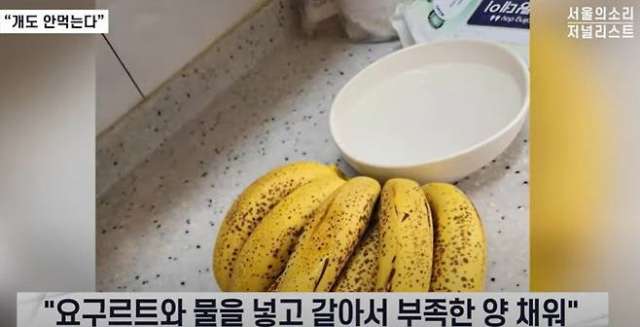 김건희 오빠 운영 요양원에서「노인학대 정황」…당국 현장조사