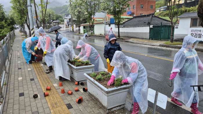경남 밀양시 초동면, 여름꽃 식재로 생기 넘치는 경관 조성
