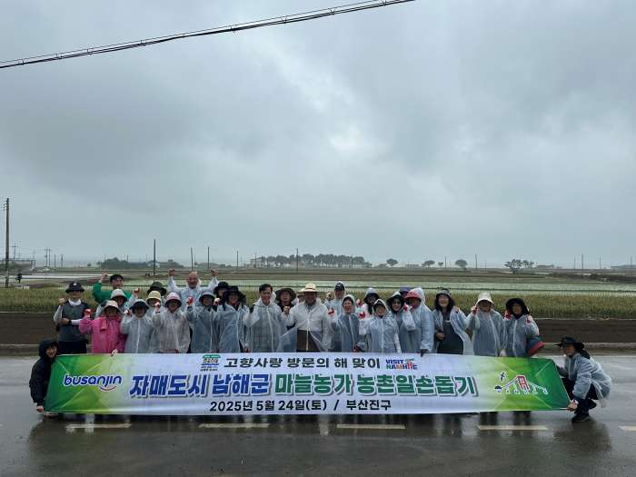 부산진구청 직원, 자매도시 남해군 마늘밭에서 구슬땀