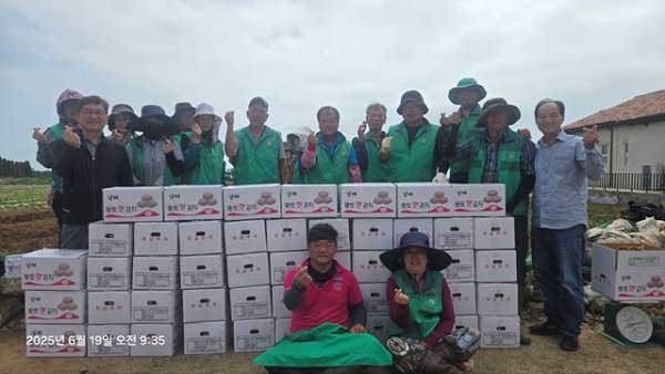 경남 남해군「남해읍 새마을 남·녀지도자협의회 사랑의 감자캐기」