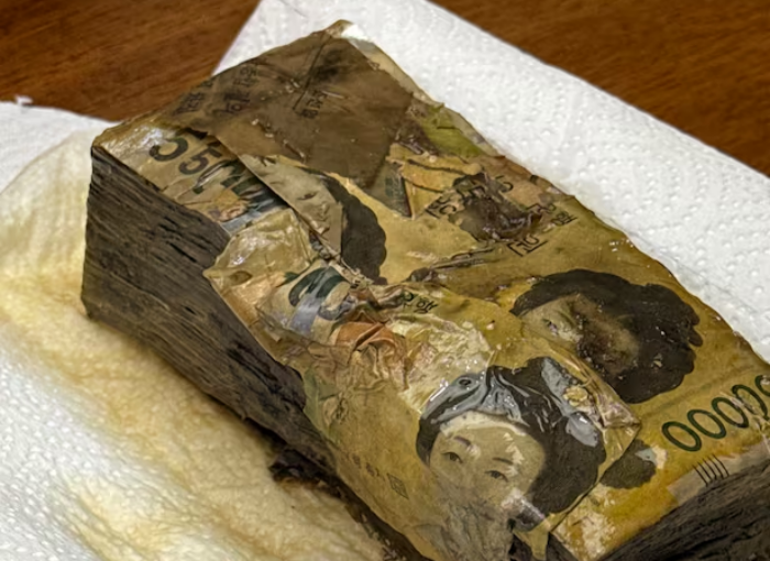 「현금 1890만 원 신문지 싸서 보관했다」「이렇게 됐다」…얼마나 돌려받을 수 있을까?