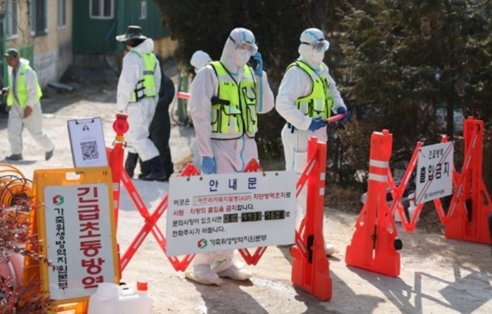 『열흘새 두 번』…창녕군 첫 아프리카돼지열병 발생에 6000여 마리 살처분