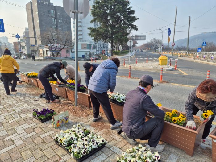 경남 밀양시 가곡동,「봄꽃 식재로 가로경관」개선