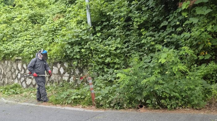 경남 밀양시 산내면 지역사회보장협의체, 봉의리 일대 환경정비 활동 펼쳐