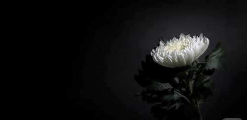 ［부고］故 박상철 전 사천시청 과장,(남, 69세) 별세