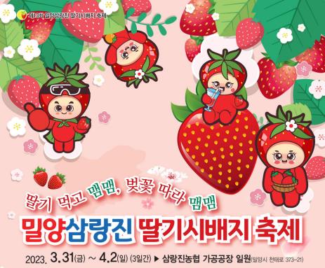 우리나라서 딸기 최초 재배한 곳 「밀양 삼랑진 딸기축제」 개막
