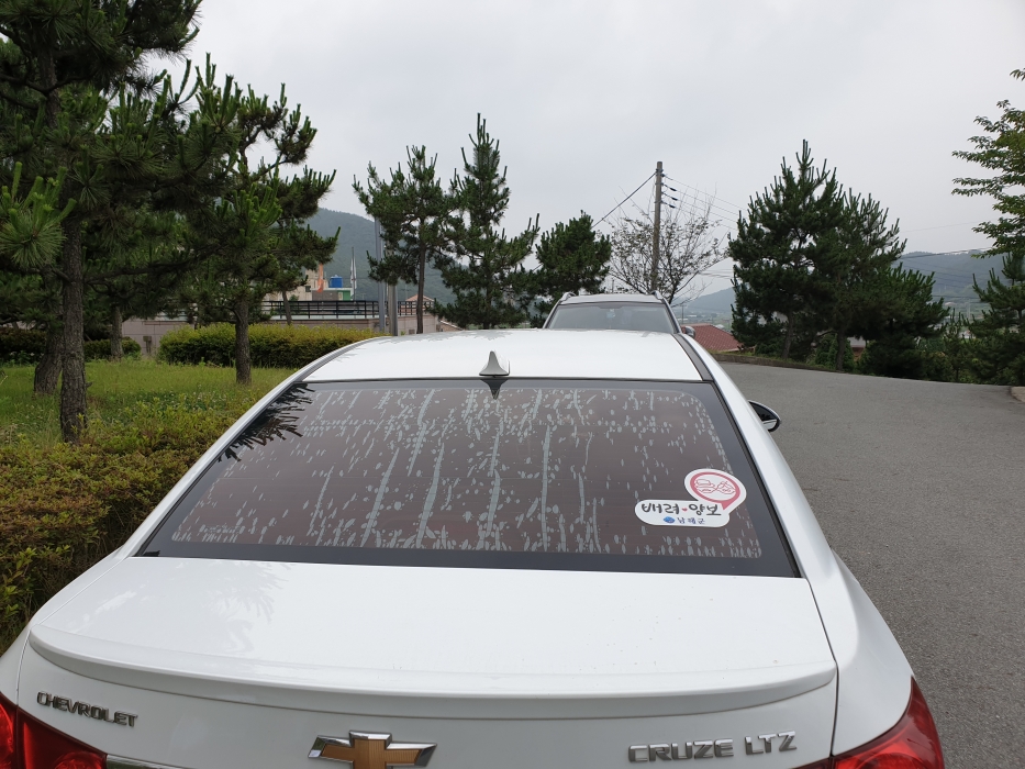경남 남해군, 고령운전자를 위한 배려·양보 시책 펼쳐