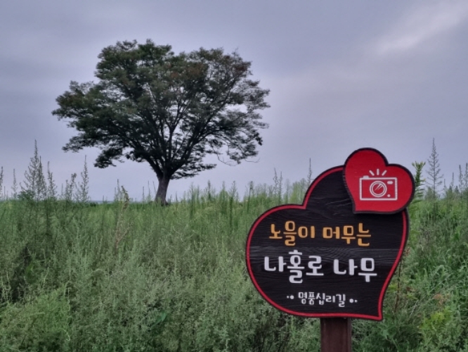 경남 밀양 낙동강 변 산책로 걸어보세요