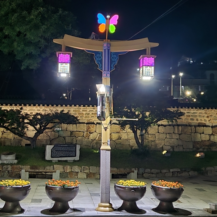 경남 밀양시 내일동, 아랑나비에 생기를 불어넣다