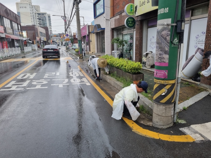 경남 밀양시 가곡동, 도로침수 예방 위한 빗물받이 및 도로변 청소활동 실시