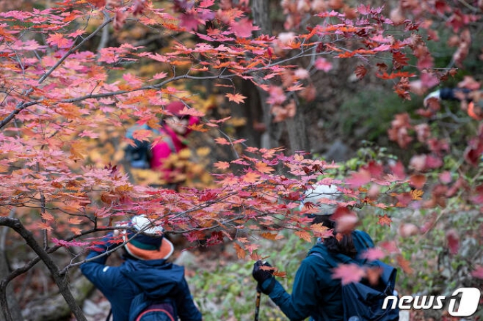 『산악회 중년들 저질 문화…아줌마 「사귀고 싶다」, 아저씨는 추근』