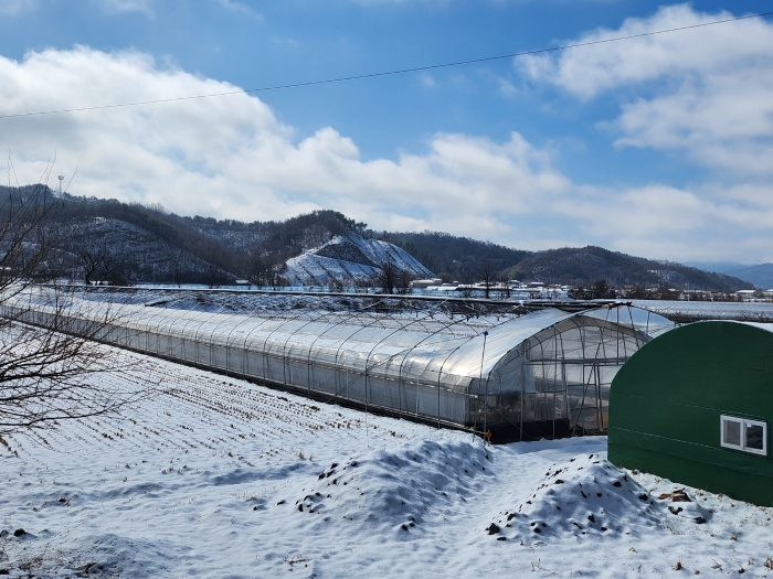 경남 고성군, 겨울철 농업재해 대책상황실 운영으로 발빠르게 나선다