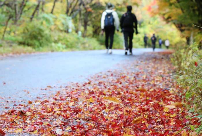 귀농한 아버지 두고 산악회서 불륜하는 엄마…『어찌하리오』