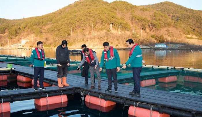 한파로 저수온에 「양식어류 폐사할라」…「남해안 어민들 노심초사」