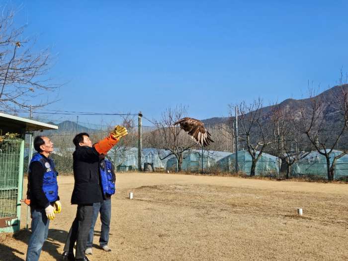한국조류보호협회 밀양시지회 새해맞이 매 방사