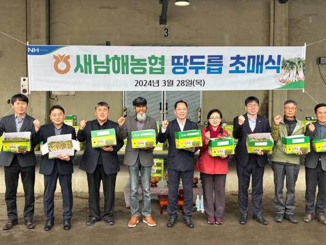 맛좋고 영양가득 봄나물 「땅두릅」 본격 출하