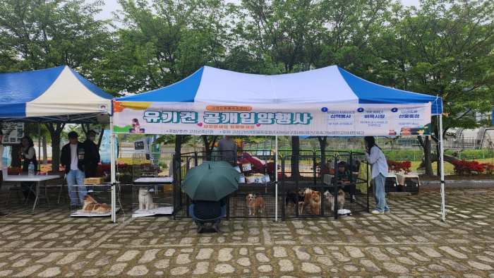 『지금 만나러 갈개』…고성군, 유기동물 공개입양행사 개최