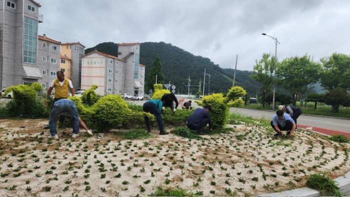 「회화면3590지구 고성동부로타리클럽」 도로변 풀베기 봉사활동 실시